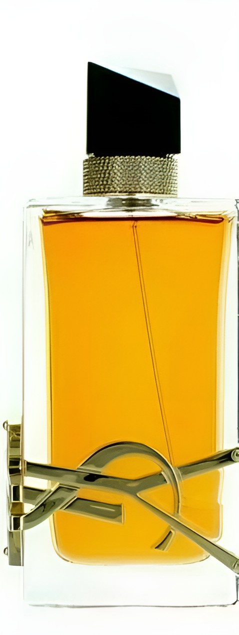 A clear rectangular perfume bottle filled with amber-orange liquid, featuring a black cap and a gold-tone YSL monogram on the front, shown against a white background.